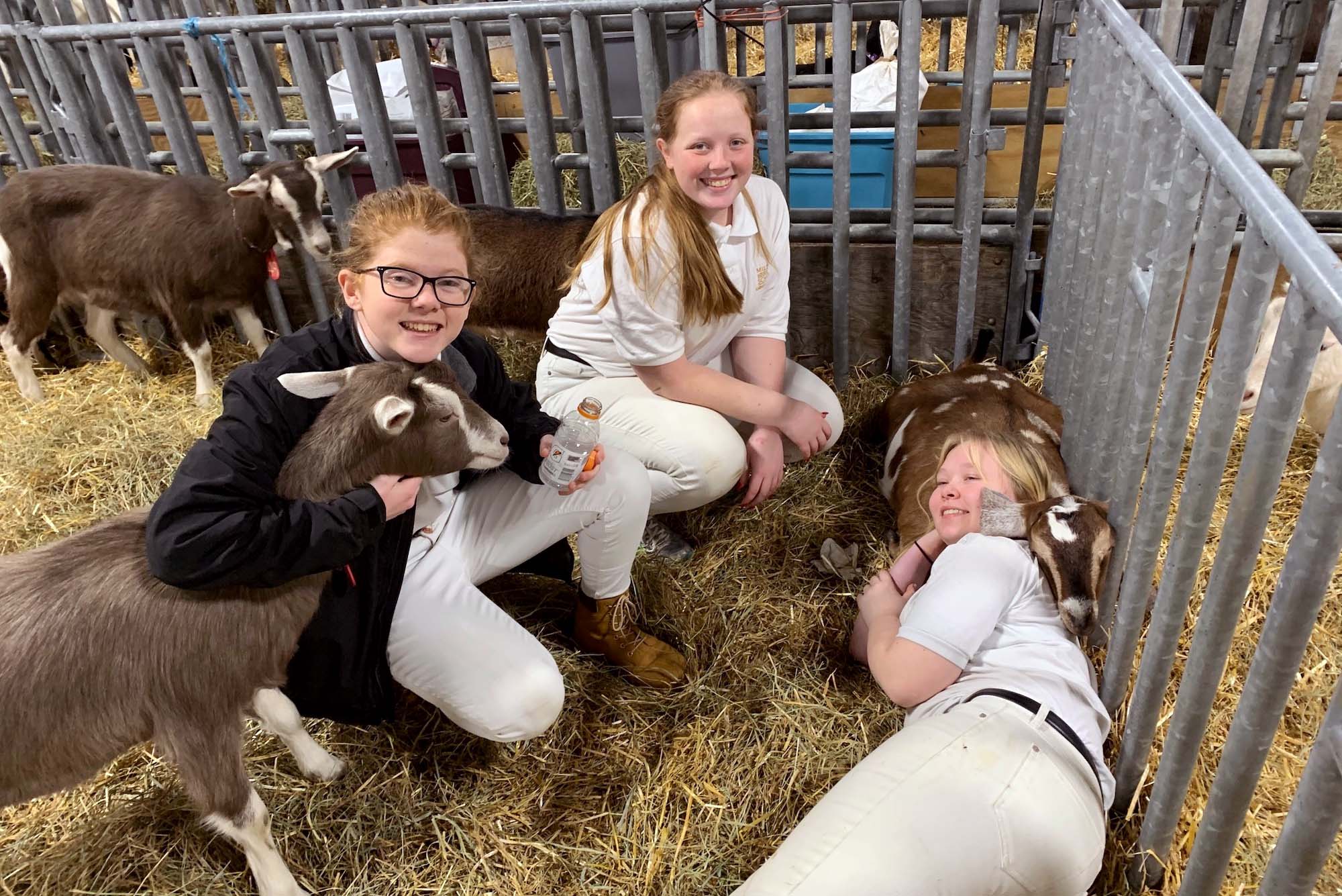 Milton Hershey School Agricultural and Environmental Education students take a break with their goats during the PA Farm Show.